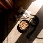 Peregrin Barn - dogs bowl